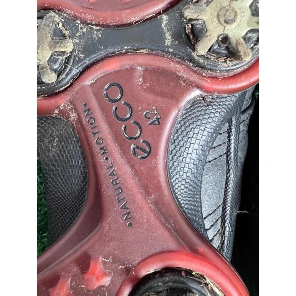 Ecco these could